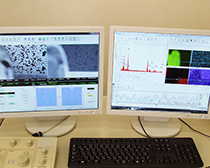 扫描式电子显微镜 image
