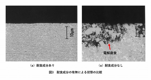 耐食成分の有無による状態の比較